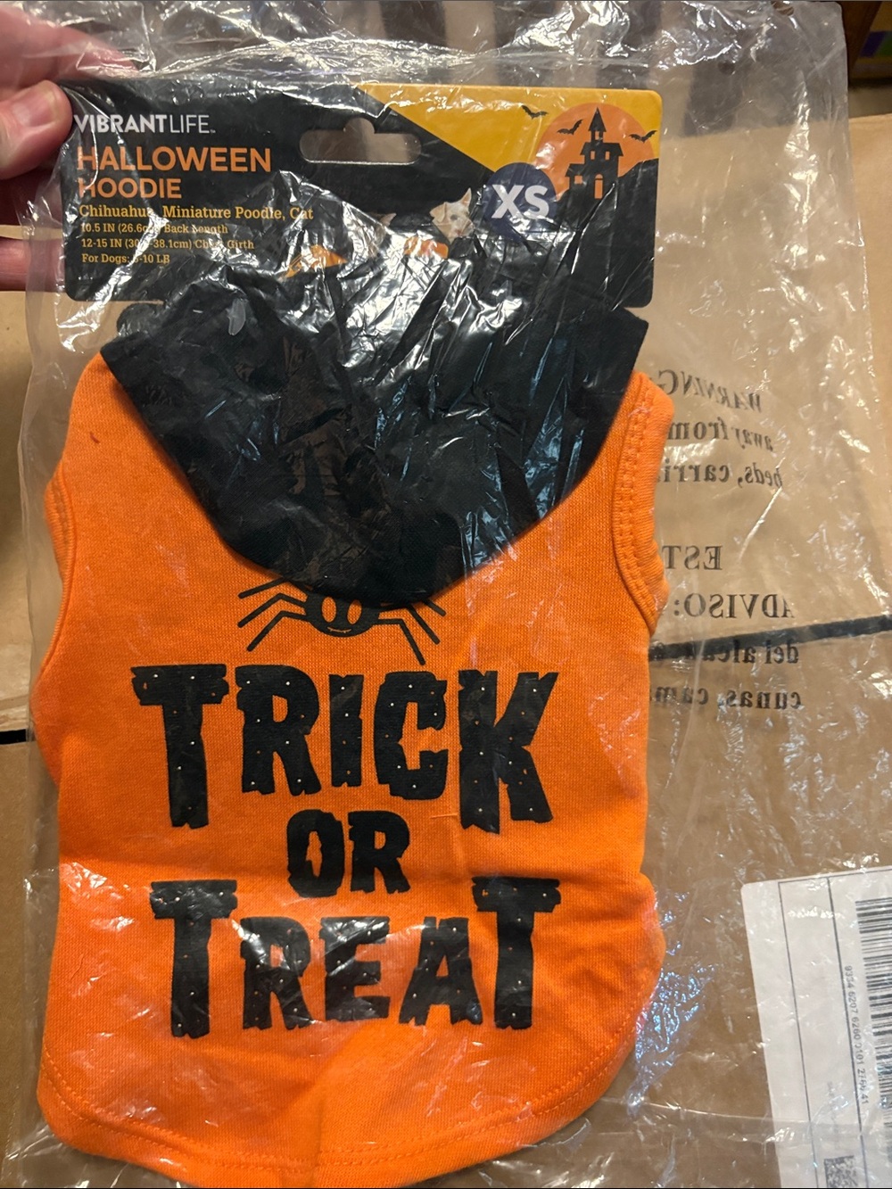 Vibrant Orange & Black Kids Halloween Hoodie - 'Trick or Treat'